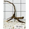 Spiderwood 642