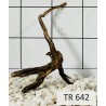 Spiderwood 642
