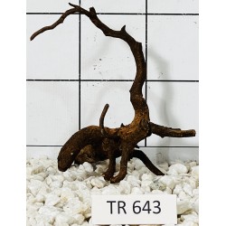 Spiderwood 643