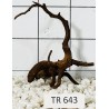Spiderwood 643