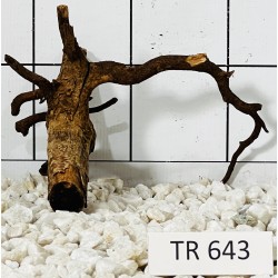 Spiderwood 643