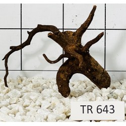 Spiderwood 643