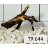 Spiderwood 644