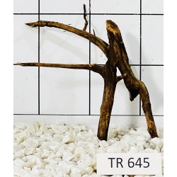 Spiderwood 645