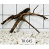 Spiderwood 645
