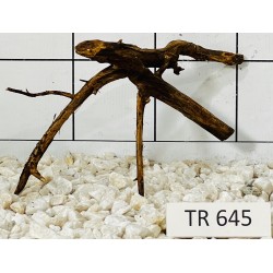 Spiderwood 645