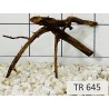 Spiderwood 645