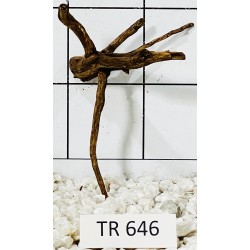 Spiderwood 646