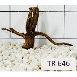 Spiderwood 646