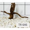 Spiderwood 646