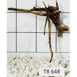 Spiderwood 648