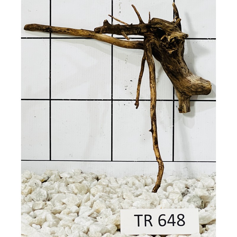 Spiderwood 648