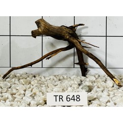 Spiderwood 648
