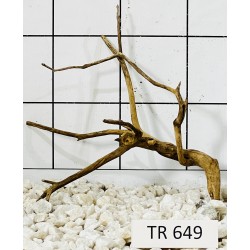 Spiderwood 649