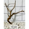 Spiderwood 649