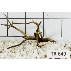 Spiderwood 649