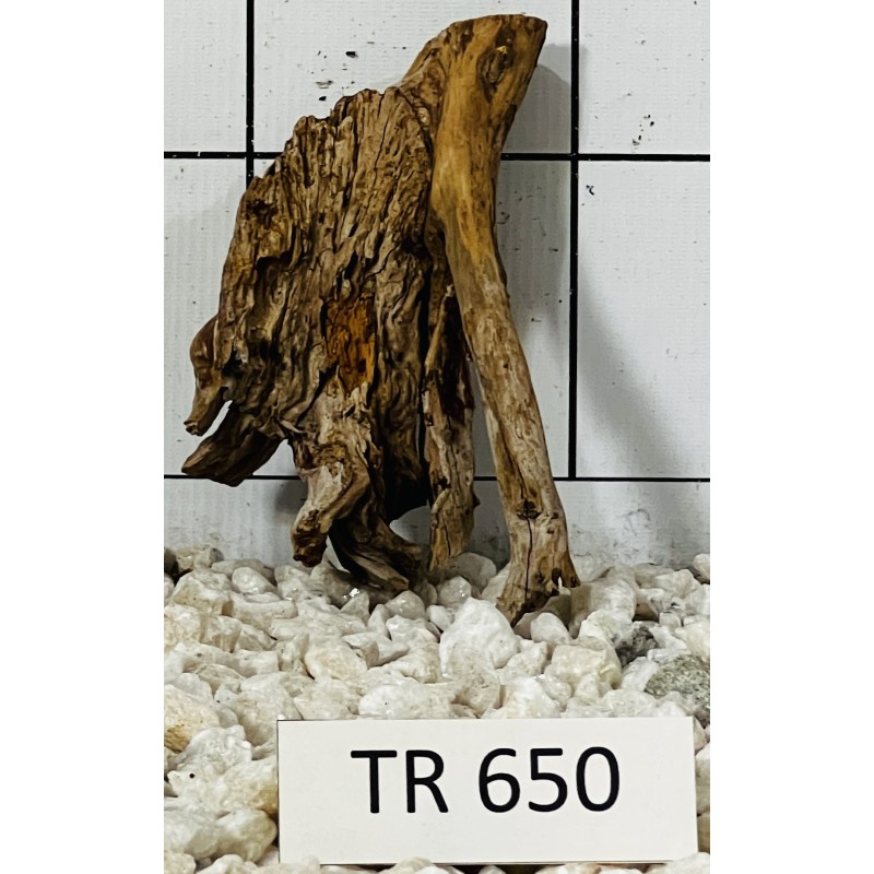 Spiderwood 650