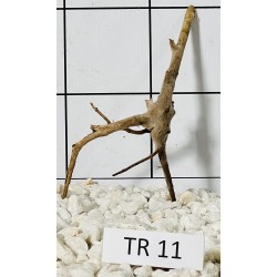Spiderwood 11