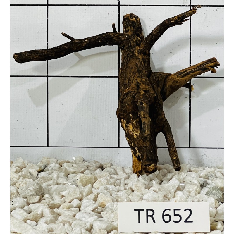 Spiderwood 652