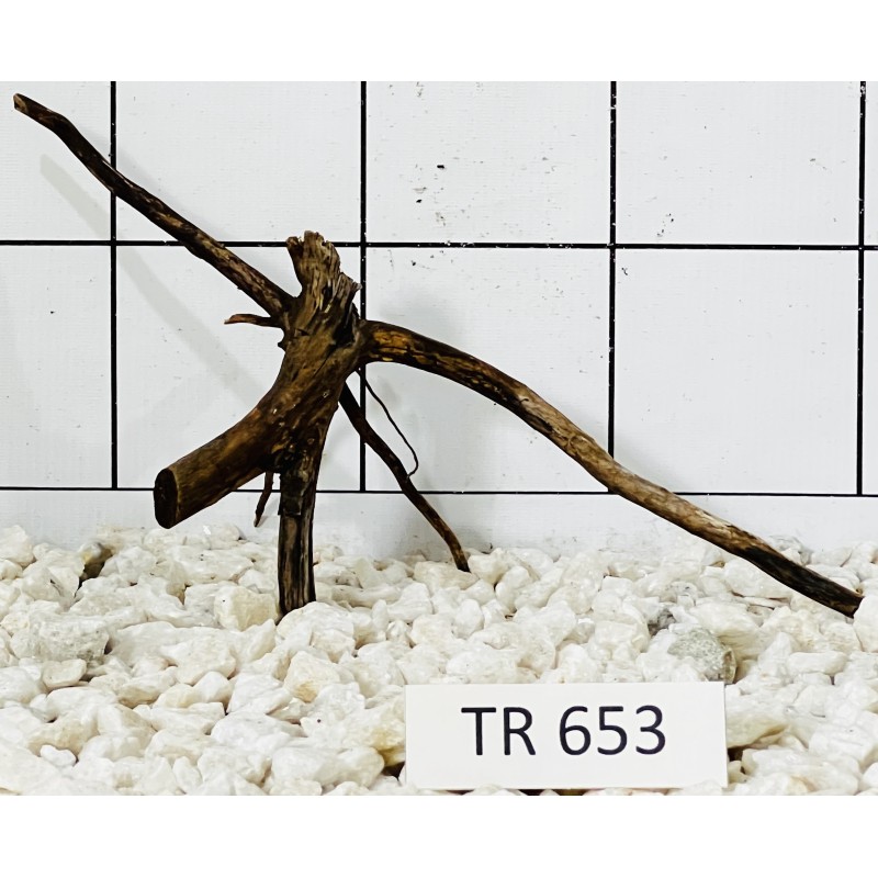 Spiderwood 653