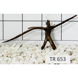 Spiderwood 653