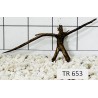 Spiderwood 653