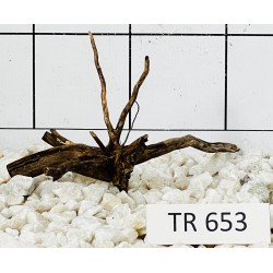 Spiderwood 653