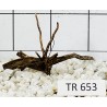 Spiderwood 653