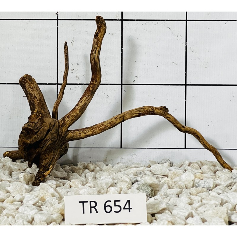 Spiderwood 654