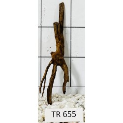Spiderwood 655