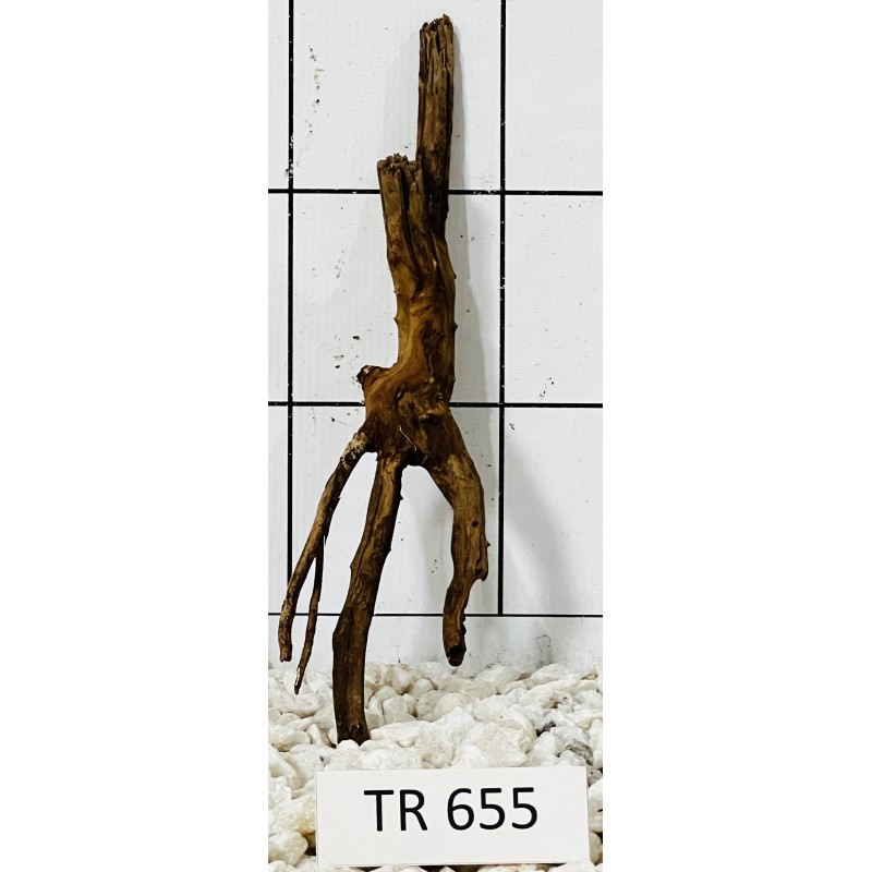 Spiderwood 655