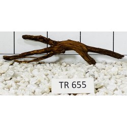Spiderwood 655