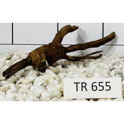 Spiderwood 655