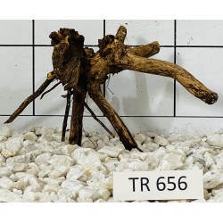 Spiderwood 656