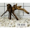 Spiderwood 656