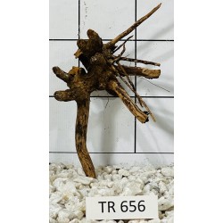 Spiderwood 656