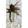 Spiderwood 656
