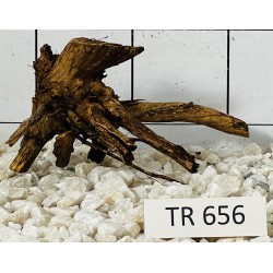 Spiderwood 656