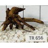 Spiderwood 656