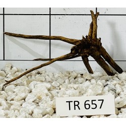 Spiderwood 657