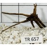 Spiderwood 657