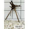 Spiderwood 657