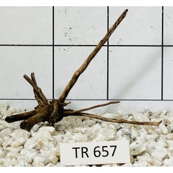 Spiderwood 657