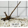 Spiderwood 657