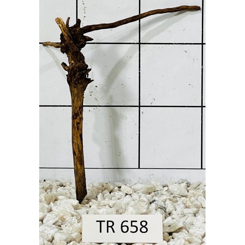 Spiderwood 658