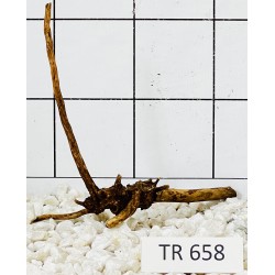 Spiderwood 658