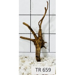 Spiderwood 659