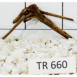 Spiderwood 660