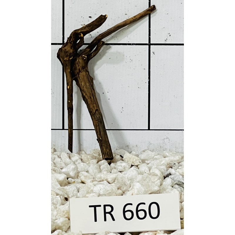 Spiderwood 660