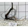 Spiderwood 12